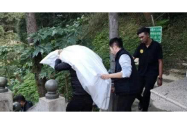 泰山遇到恶意拖欠？专业追讨公司帮您解决烦恼